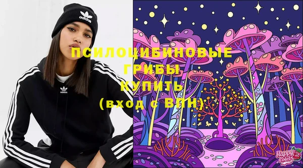 не бодяженный Гусь-Хрустальный