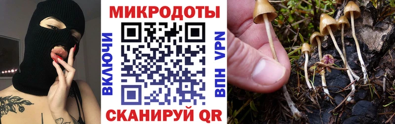 Псилоцибиновые грибы ЛСД  MEGA ссылка  Чердынь  даркнет как зайти  купить наркотики сайты 