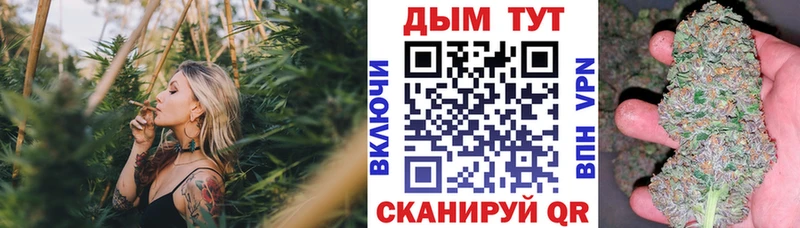 Конопля SATIVA & INDICA  что такое   Чердынь 